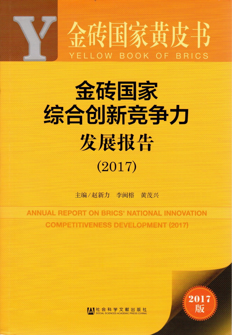 我操女人视频在线观看金砖国家综合创新竞争力发展报告（2017）